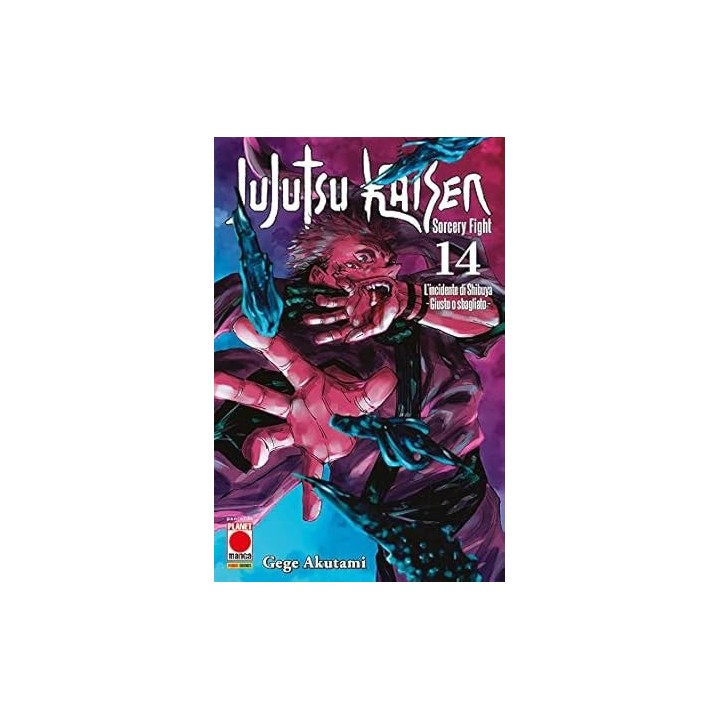 Jujutsu Kaisen: Sorcery Fight (#14)