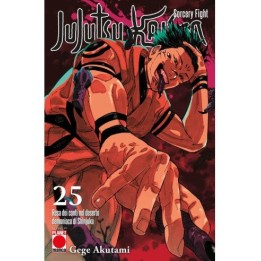 Jujutsu Kaisen: Sorcery Fight (#25)