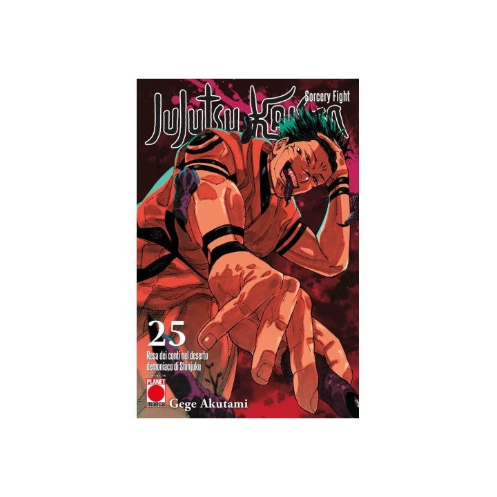 Jujutsu Kaisen: Sorcery Fight (#25)