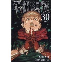 Jujutsu Kaisen: Sorcery Fight (#30)