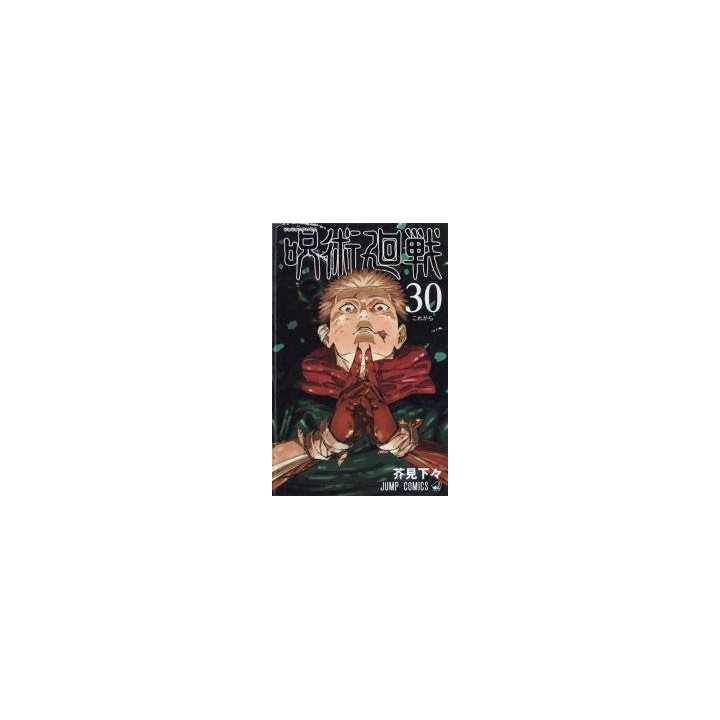 Jujutsu Kaisen: Sorcery Fight (#30)