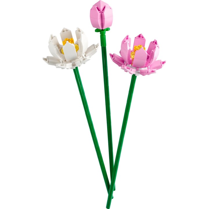LEGO - Altro - Fiori di Loto (#40647)