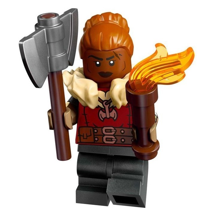 LEGO - Minifigure - Dungeons & Dragons (#71047)