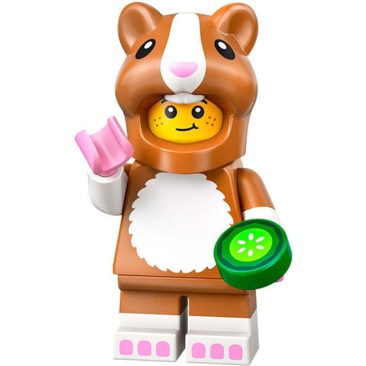 LEGO - Minifigure - Serie 27 (#71048)