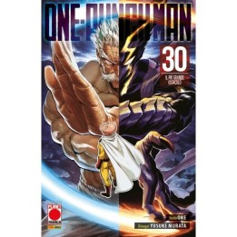 One-Punch Man (#30)