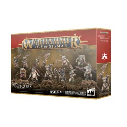 Age of Sigmar - Maggotkin Of Nurgle - Pestigor