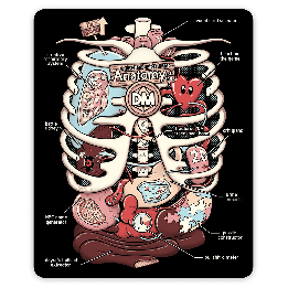 GlassStaff - Sticker - Anatomy of the DM